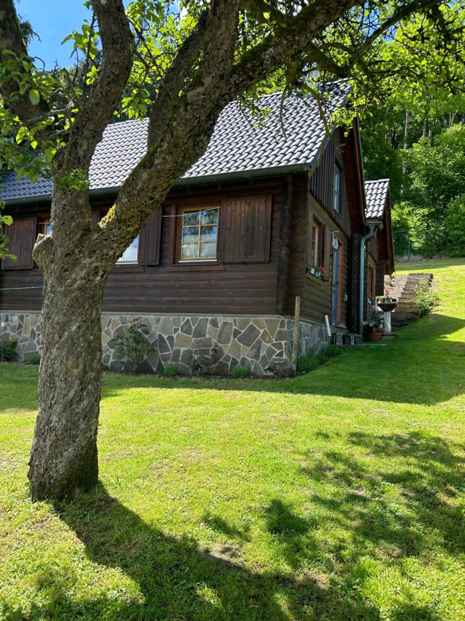 Vila Blockhuette Engeln-Eifel Kempenich Exteriér fotografie