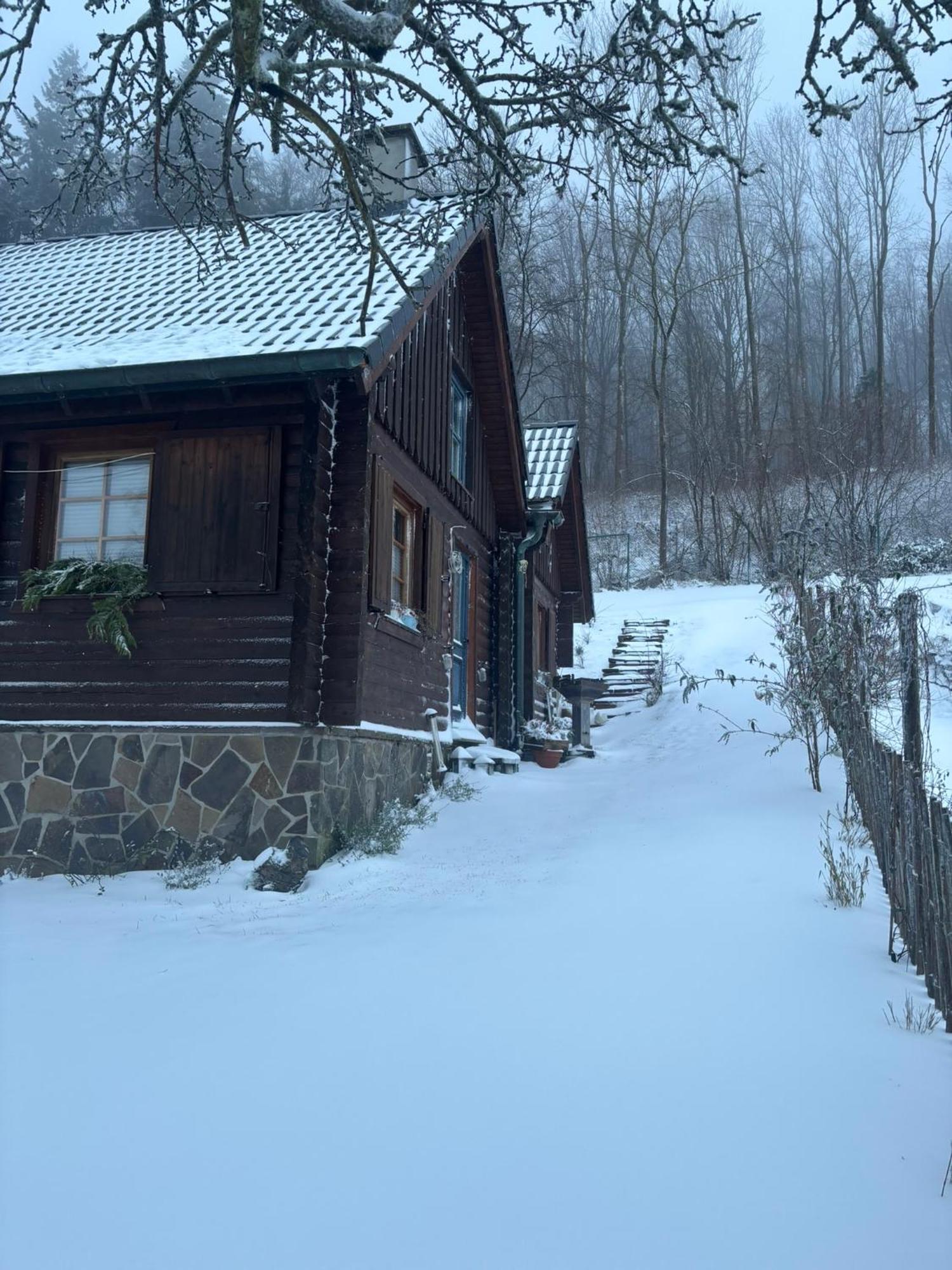 Vila Blockhuette Engeln-Eifel Kempenich Exteriér fotografie