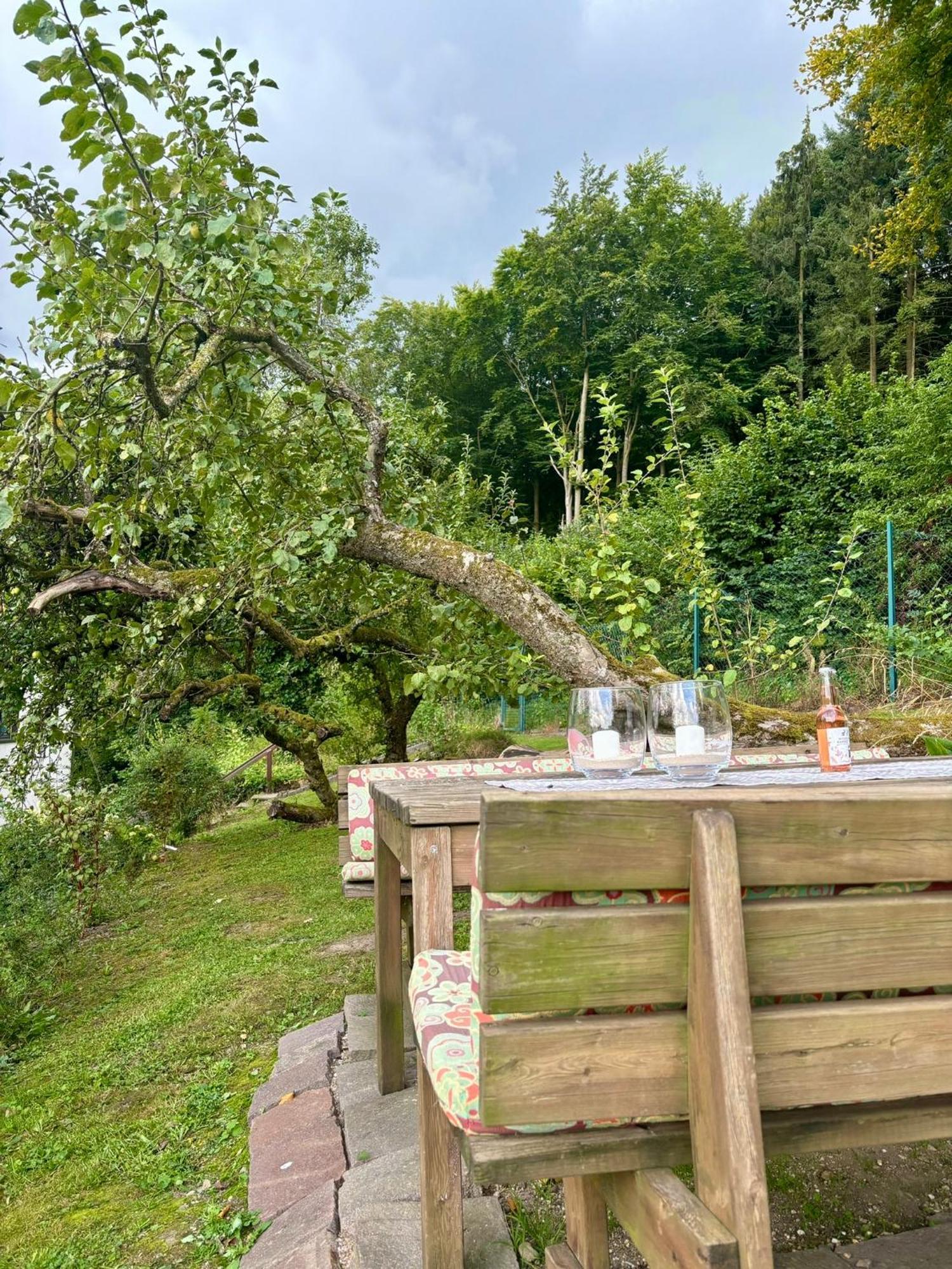 Vila Blockhuette Engeln-Eifel Kempenich Exteriér fotografie