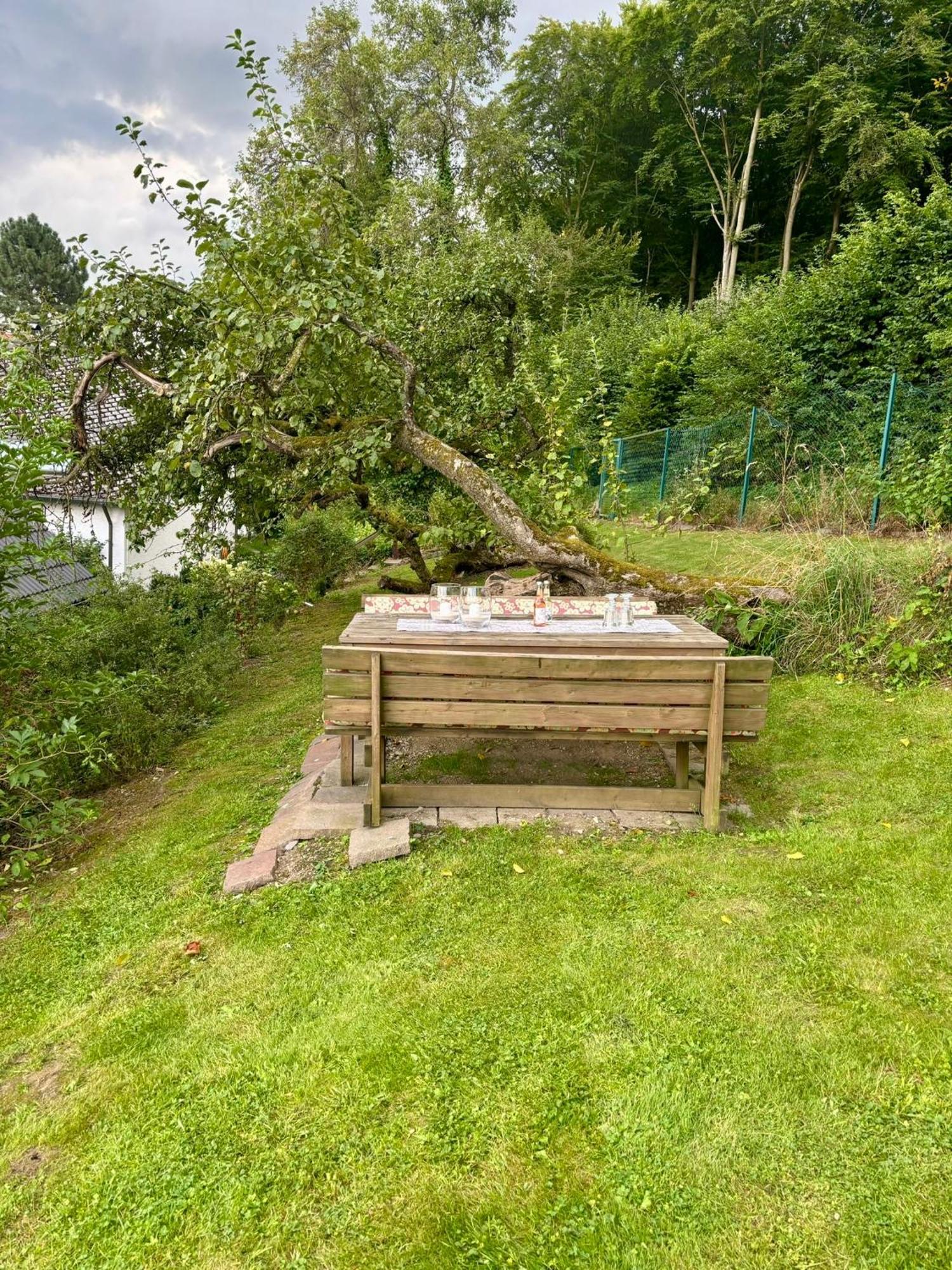 Vila Blockhuette Engeln-Eifel Kempenich Exteriér fotografie